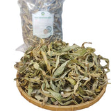 Dried Trinh Nữ Hoàng Cung Leaves – 1.1 lbs