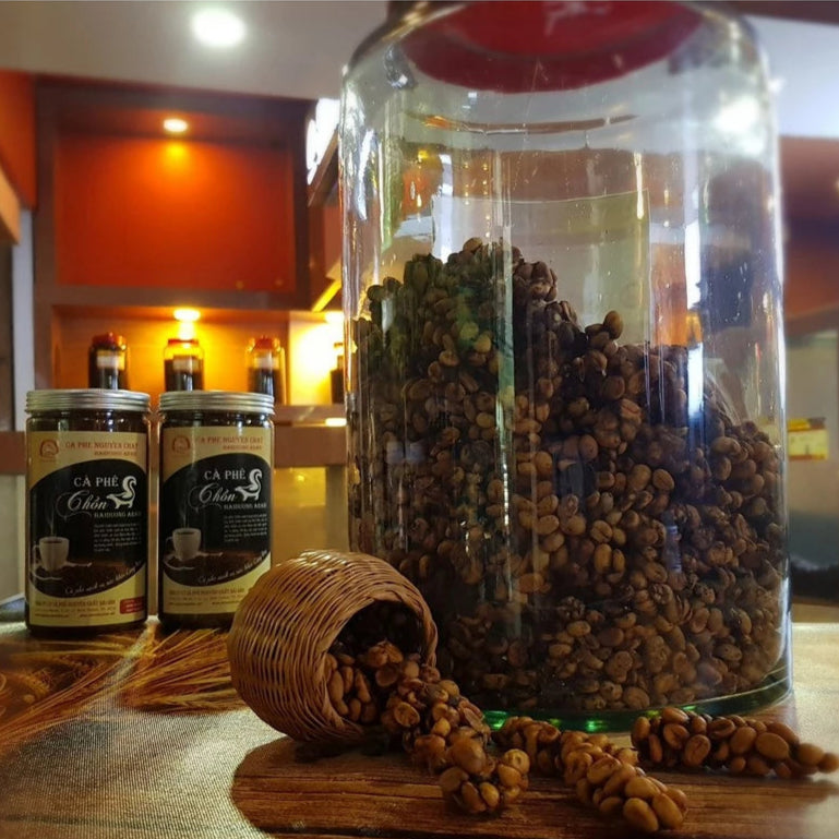 Pure Civet Coffee from Binh Phuoc Farm