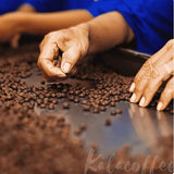 100% Pure Roasted Robusta Coffee - Phin Brew (500g)