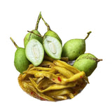 Chili Salt Seasoned Young Mango – 7.1 oz