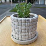 Basketweave Mini Pattern Planter Molds