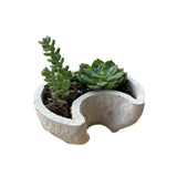 Crescent Moon Planter