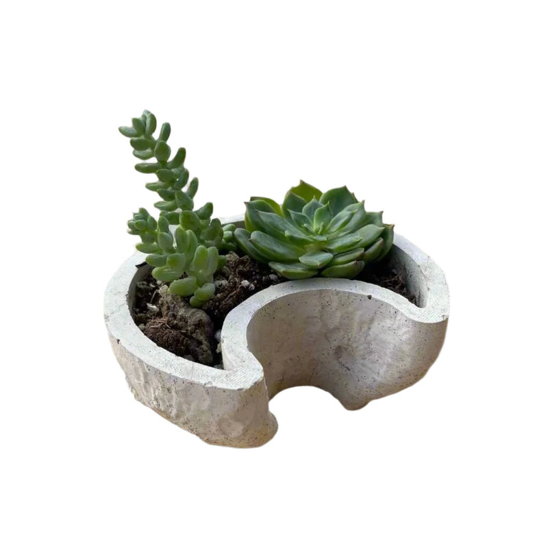 Crescent Moon Planter