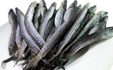 Dried Mudskipper Fish – U Minh Specialty, 1.1 lb