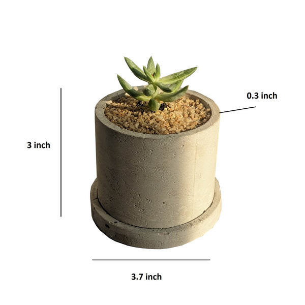 "Phật Tại Tâm" Round Planter Silicone Molds