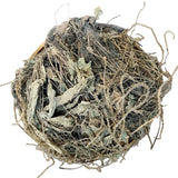 Dried Plantain Herb (Mã Đề) – 1.1 lbs