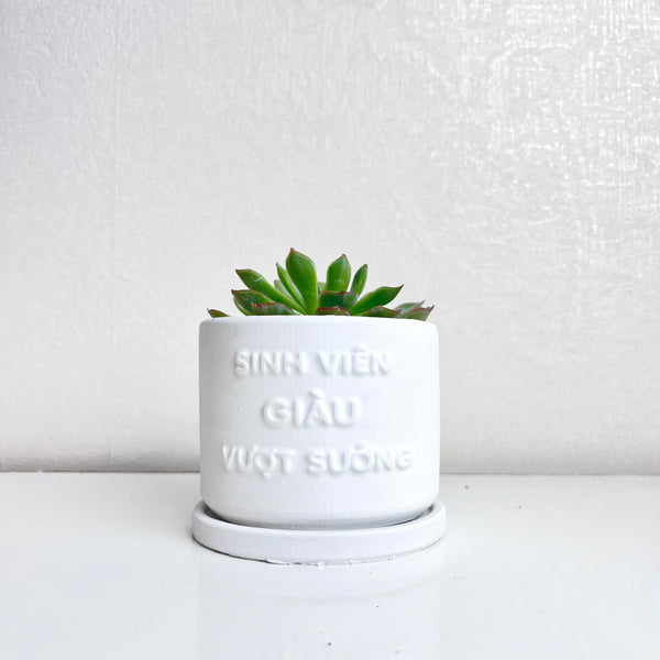 "Sinh Viên Giàu Vượt Khó" Concrete Pen Holder
