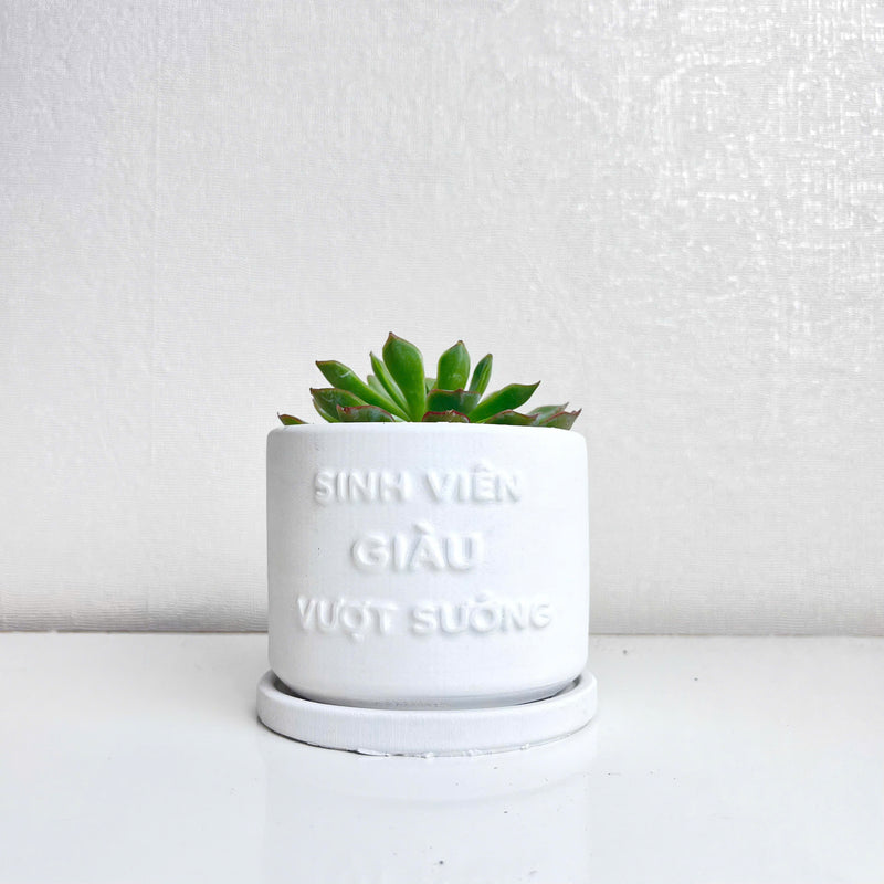 "Sinh Viên Giàu Vượt Khó" Concrete Pen Holder