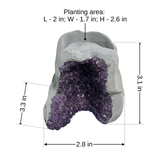 Amethyst Crystal Planter