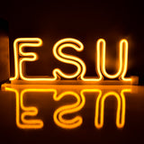 University name led neon sign