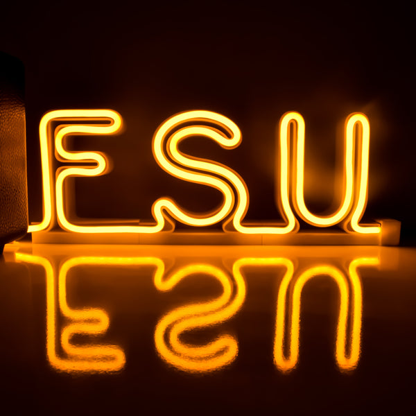 University name led neon sign