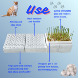 Cat grass pot – Scratching board – A toy that helps your cat relax