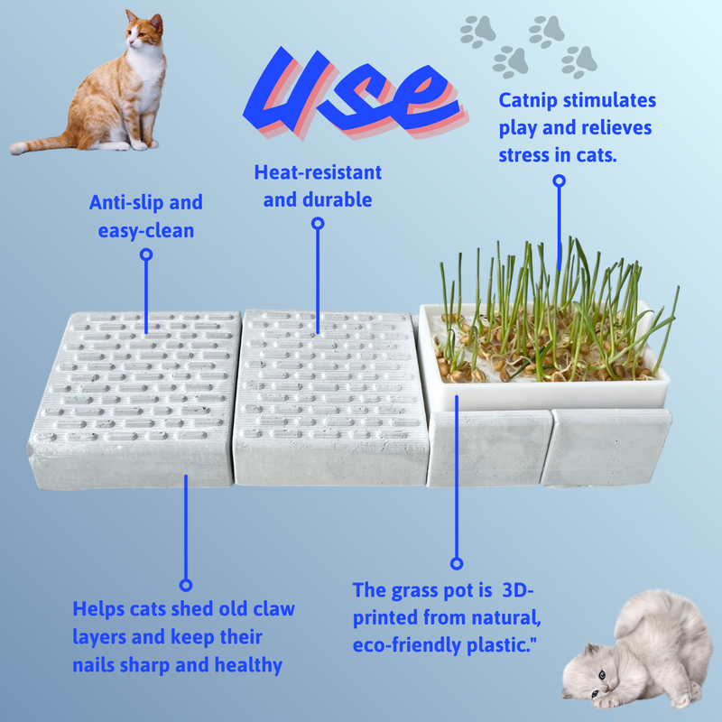 Cat grass pot – Scratching board – A toy that helps your cat relax