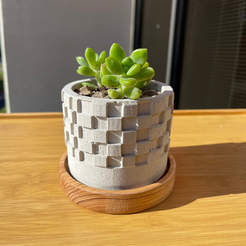Square Patterned Concrete Planter