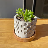 Square Patterned Concrete Planter