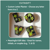 3D Printed Letters Planter Pot, Personalized Planter and Custom Name