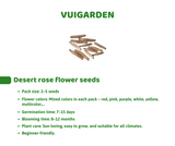 DIY Planting Set - Desert Rose Flower - Grow Green, Feel Good