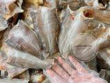 Dried Young Snakehead Fish with Chili Salt – 1.1 lb