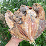 Dried Danh Fish (Ngo Fish) – 1.1 lb