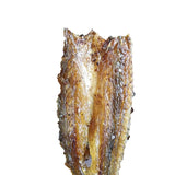 Pepper & Sugar Seasoned Dried Barracuda – 1.1 lb