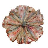 Homemade Dried Snaggletooth Catfish – 1.1 lb