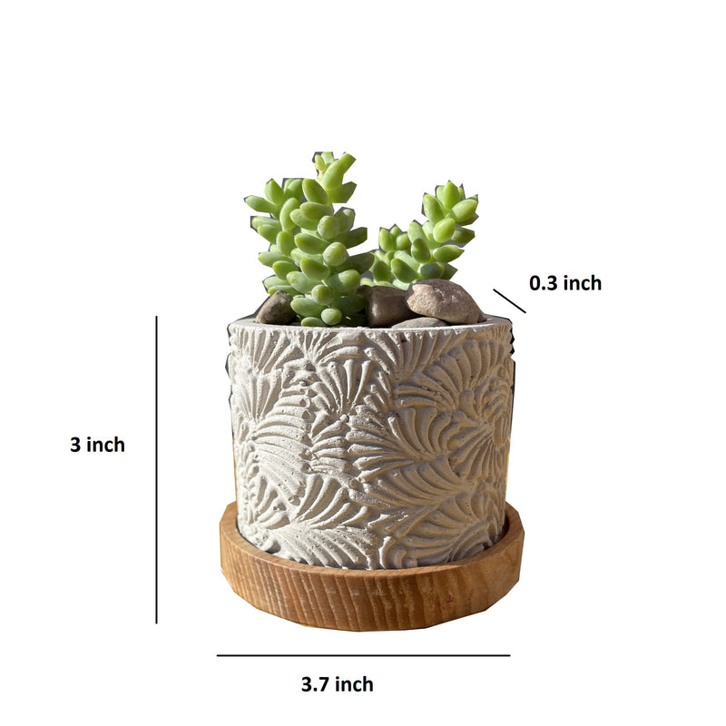 Fish Scales Pattern Succulent Planter