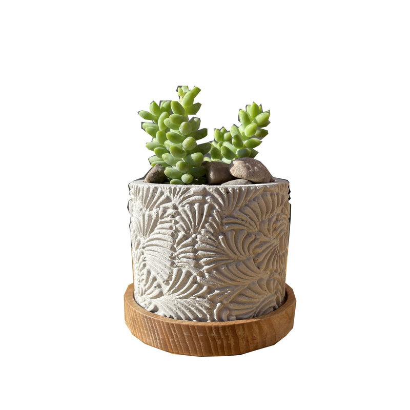 Fish Scales Pattern Succulent Planter