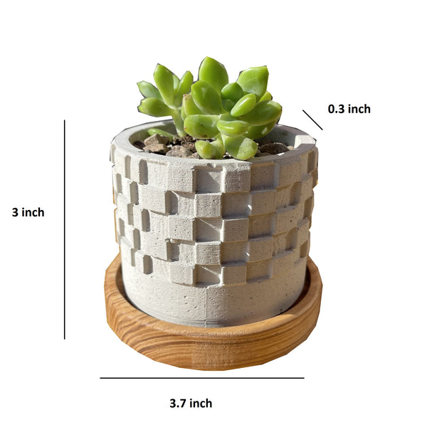 Square Patterned Concrete Planter
