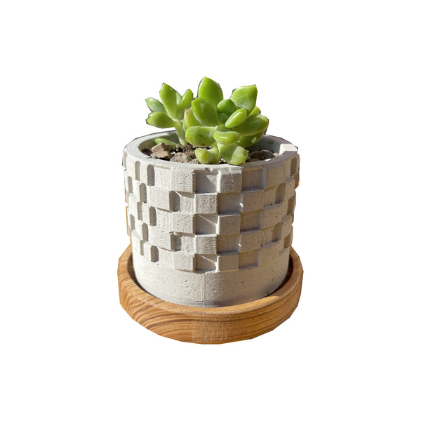 Square Patterned Concrete Planter