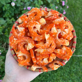 Ca Mau Dried Shrimp – Large Size, 1.1 lb