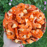 Ca Mau Dried Shrimp – Large Size, 1.1 lb