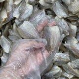 Dried Butterfly Gourami Fish – 1.1 lb