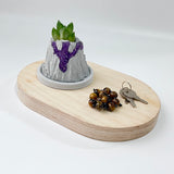 Volcanic Flow Rock Planter - Set of 3