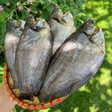 Ca Mau Dried Gourami Fish – 1.1 lb