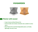 DIY Planting Set - Desert Rose Flower - Grow Green, Feel Good
