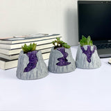 Volcanic Flow Rock Planter - Set of 3