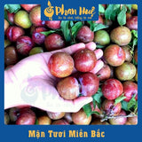 Soft-Dried Spicy Plum Snack – 1.1 lbs