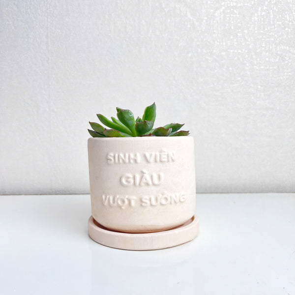 "Sinh Viên Giàu Vượt Khó" Concrete Pen Holder