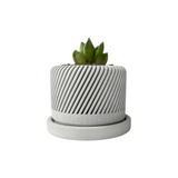 Spiral plant pot - Set of 3