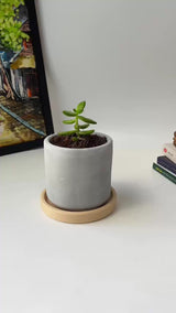 Minimalist Planter (plastic drainage tray)