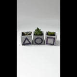 Squid Game-Inspired Planter with Amethyst Inlay - Set of 3