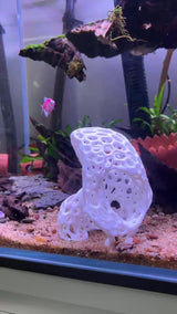 Abstract stone arch aquarium decoration, Safe Plastic for Aquariums
