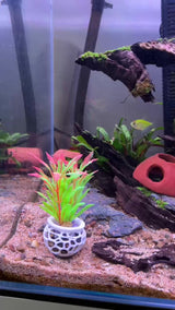 Aquarium Plant Pot Holder, Plant Holder For Aquatic Plants, Aquarium Safe Plastic