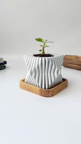 Square-Twisted Plant Pot (wooden drainage tray)