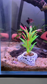 Plant Holder For Aquatic Plants, Plant Holder For Aquatic Plants, Aquarium Safe Plastic