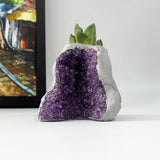 Amethyst Crystal Planter
