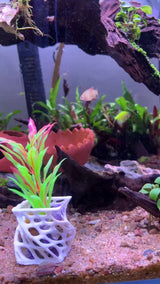 Plant Holder For Aquatic Plants,Unique Designed Aquarium Plant Pot, Aquarium Safe Plastic