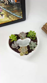 Live Succulent Arrangement Centrepiece for Holiday Decor (Heart-Shaped)