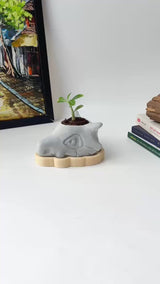 Cubone Plant Pot