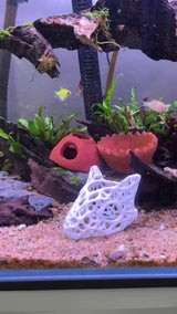 3D Printed Skullcap – Aquarium Safe Decor, Shrimp Home Hideout